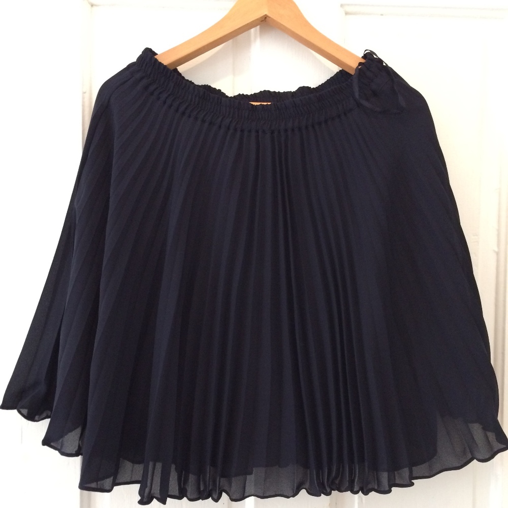 Adrienne Vittadini Skirt